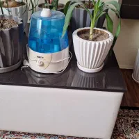 جلو مبلی