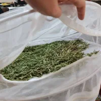 توری خشک‌کن دوطبقه میوه، سبزی و گیاهان دارویی