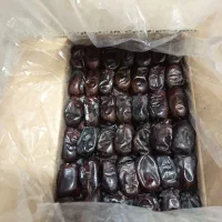 باسلام بهترین انواع خرما و تازه باضمانت