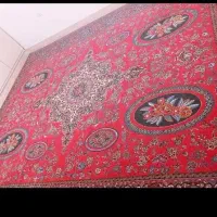 موکت پشمی|موکت|زاهدان, |دیوار