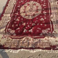 فرش|فرش|رشت, عینک|دیوار