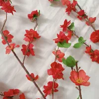 گل مصنوعی|گل مصنوعی|ساوه, |دیوار