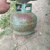پیکنیک
