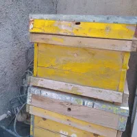 کندوی زنبور