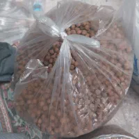 غذای ماهی