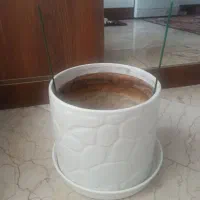 گلدان سرامیکی
