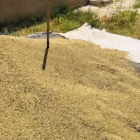 فروش 70تن جومحلی درجه یک
