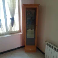 ویترین خانگی