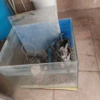 اکواریوم شیشه ریملس کم کارکرد