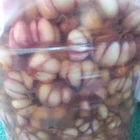 سیر ترشی