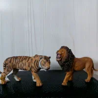 فیگور پاپو