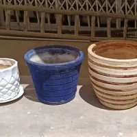 گلدون