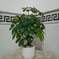 گل مصنوعی