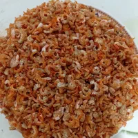 میگو خشک