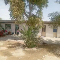 اهواز نادرئ خیابان تالقانی