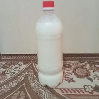 دوغ محلی گوسفندی
