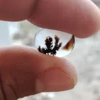 انگشتر شجر سنگ طبیعی و معدنی