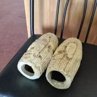 پناهگاه لجن خوار و ماهیان دیگر آکواریوم