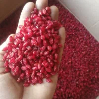 زرشک صادراتی درجه 1 قائنات مستقیم از کشاورز