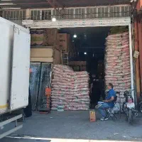 استخدام نیرو