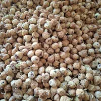 انجیر تازه استهبان