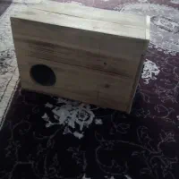 لانه عروس هلندی