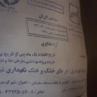 قیمت عالی