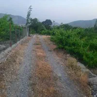 باغ-انگور-بارده-سی-سخت-قواره-دوم-کمربندی-جنب-هتل