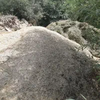علف گزره و یونجه ۴ تن