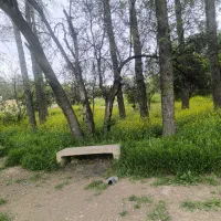 ۴۵۰مترزمین میر آباد روبه روی ترمینال