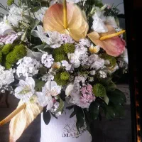 گل و گیاه|گل و گیاه طبیعی|مشهد, دانشجو|دیوار