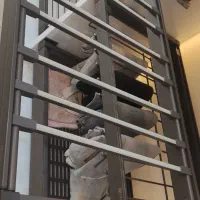 ریل شلوار