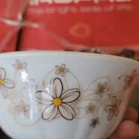 ظروف مارک آیروپال