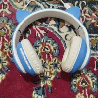 فقط کارتون نداره
