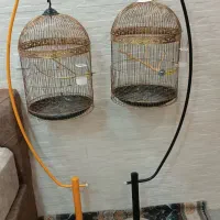 قفس پرنده