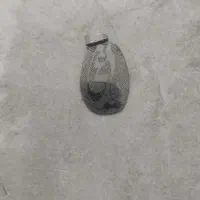 پلاک یاغی