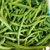 فلفل ولوبیاسبز