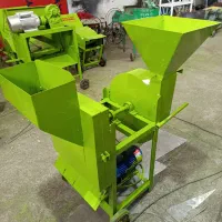 گاو به همراه گوساله شیری