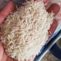 برنج پاکستانی دانه بلند ۱۱۲۱ بریس