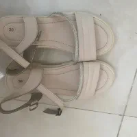 صندل