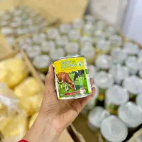 شعریه پودر کاکائو میگو خشک کره برق عنب