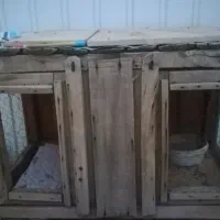 کجه کبوتر