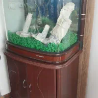 اکواریوم چینی نو