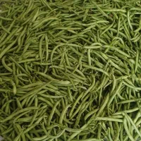 لوبیا سبز