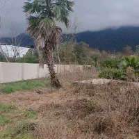 دهکده سبز ملکار ۳۹۴ متر زمین
