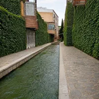 خونه دارم،همخونه میخوام