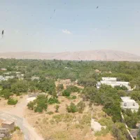 تعدادی شیشه سکوریت