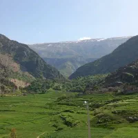 تور و سویت اجاره ای