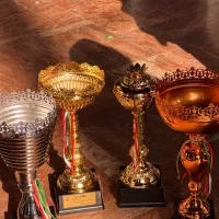 آموزش واستعدادیابی شناوشنای هنری  بدون رده سنی