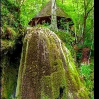 طبیعت گردی